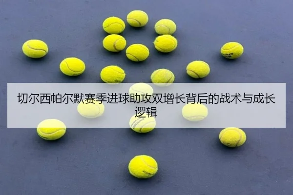 切尔西帕尔默赛季进球助攻双增长背后的战术与成长逻辑